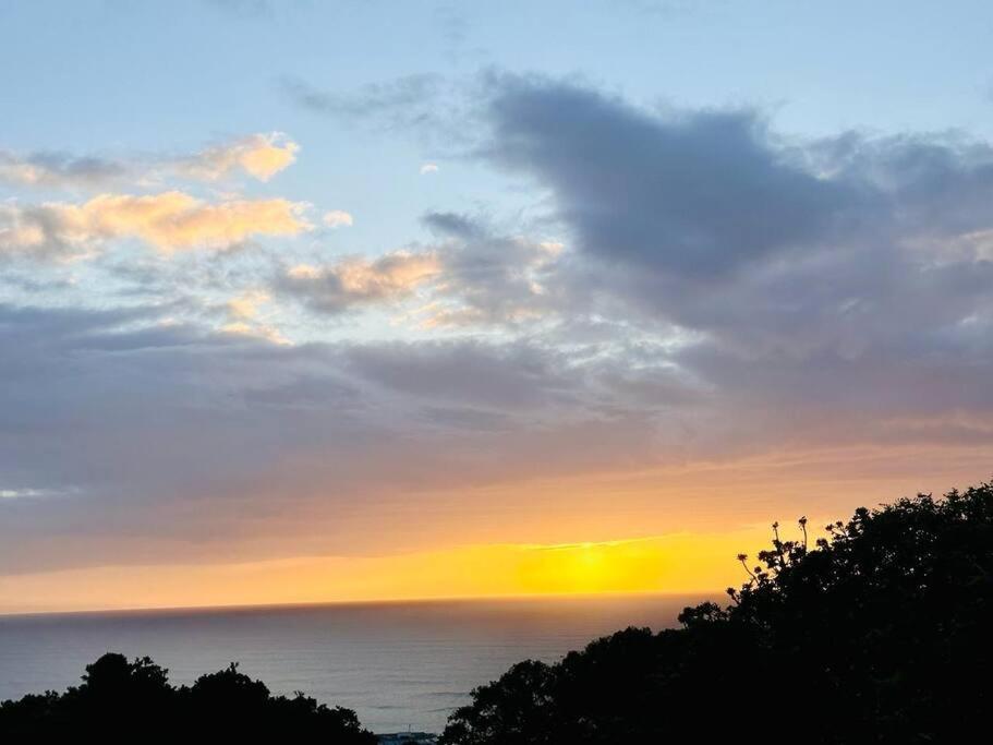 Sea View Sun Centre Leilighet Plettenberg Bay Eksteriør bilde