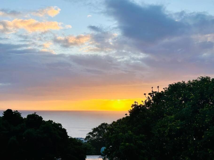 Sea View Sun Centre Leilighet Plettenberg Bay Eksteriør bilde